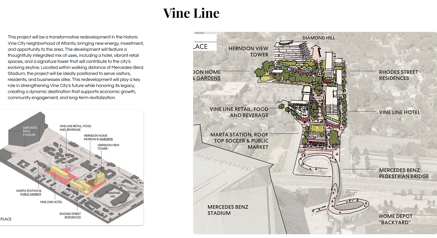Vine Line 
